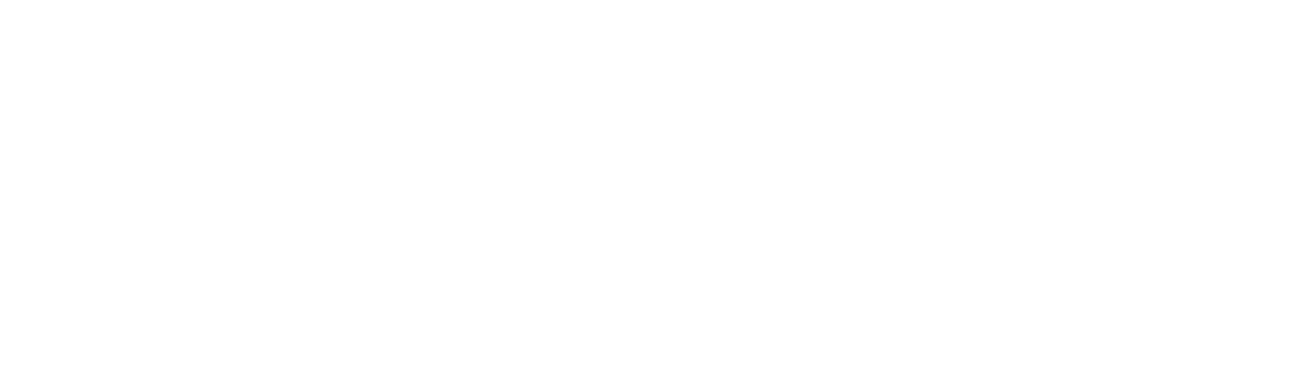 Metro TV News